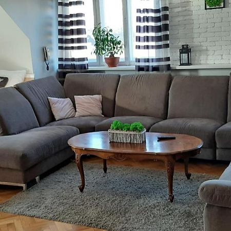 Apartament 27 Z Tarasem Jelenia Góra Zewnętrze zdjęcie